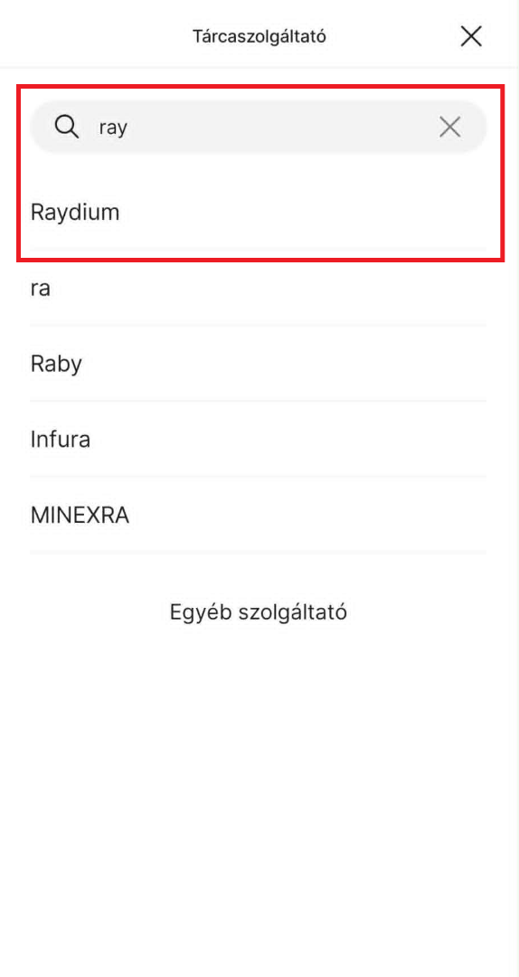 Raydium szolgáltató