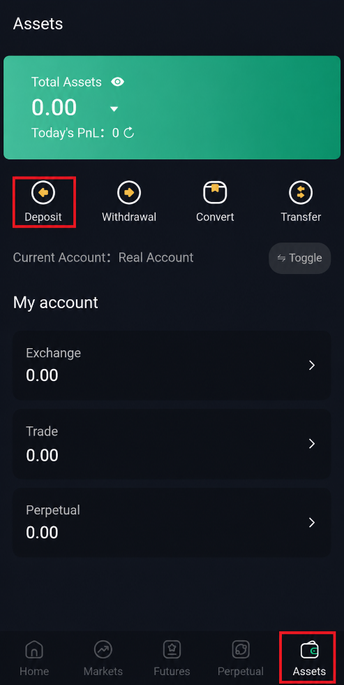 Ray Assets Deposit